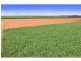 Farnsfield QLD 4660