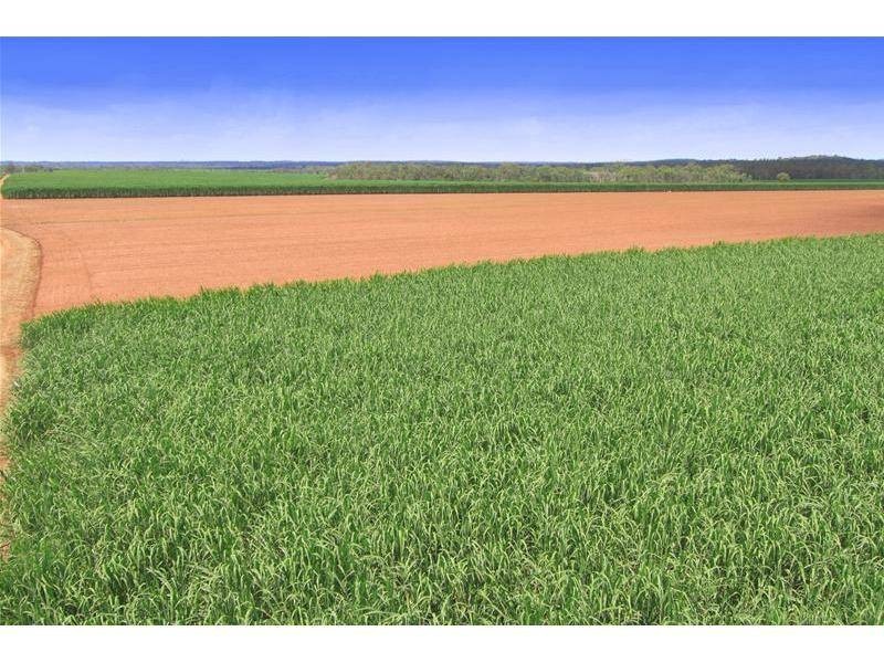 Farnsfield QLD 4660