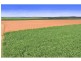 Farnsfield QLD 4660