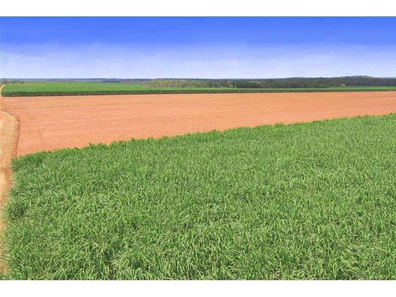 Farnsfield QLD 4660