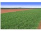 Farnsfield QLD 4660