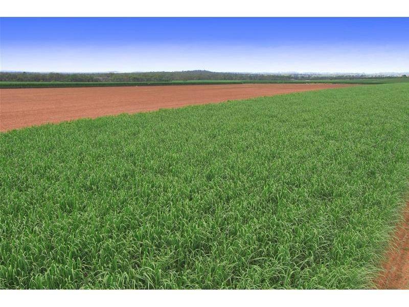 Farnsfield QLD 4660