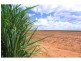 Farnsfield QLD 4660