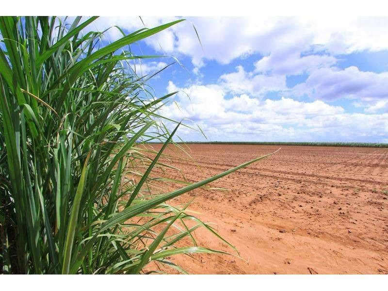Farnsfield QLD 4660