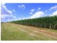 Farnsfield QLD 4660