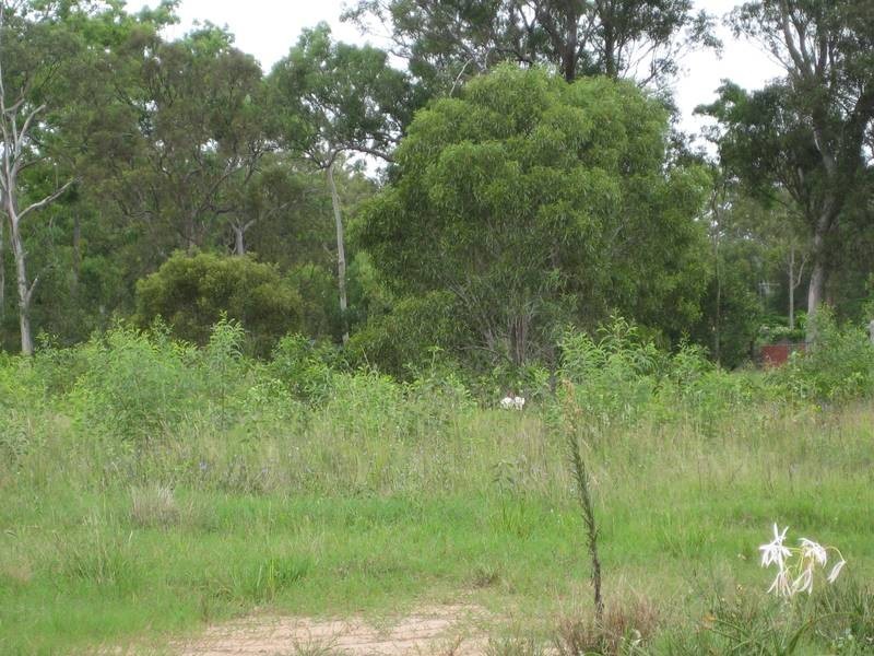 Sharon QLD 4670