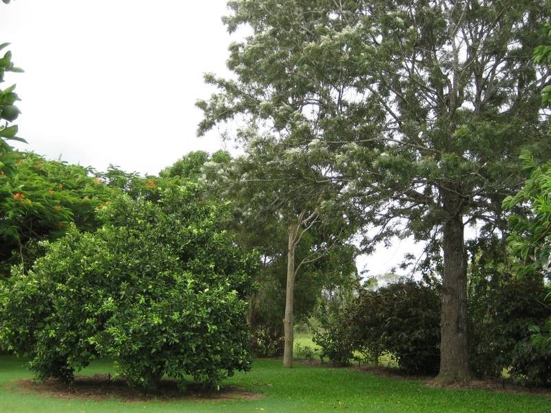 Yandaran QLD 4673