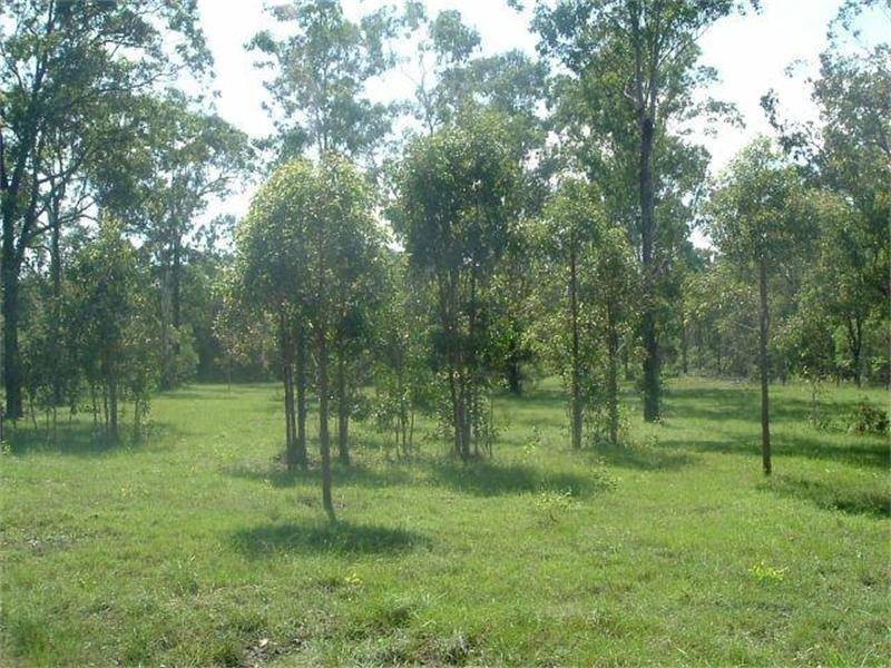 Baffle Creek QLD 4674