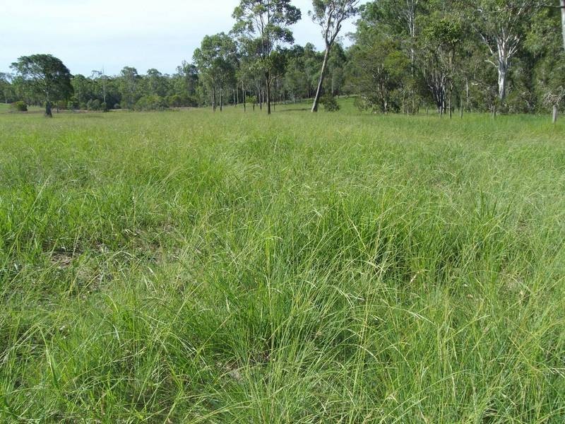 Avondale QLD 4670