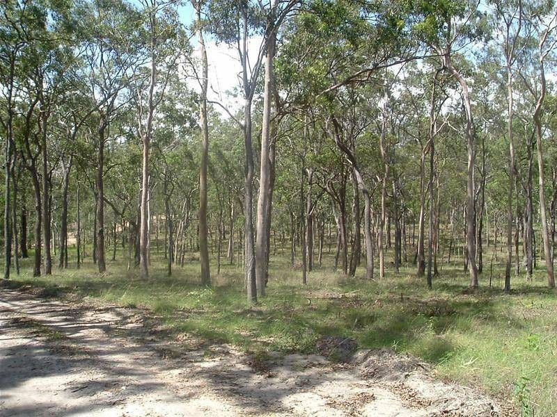 Baffle Creek QLD 4674