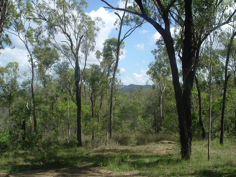 Euleilah QLD 4674