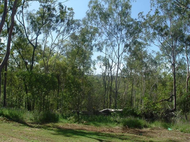 Euleilah QLD 4674