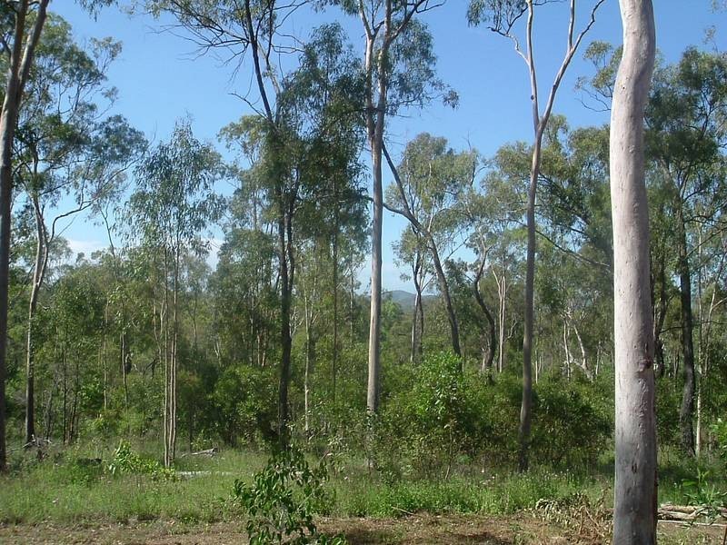 Euleilah QLD 4674