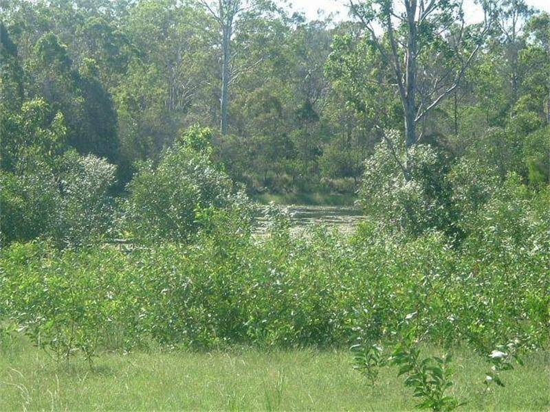 Baffle Creek QLD 4674