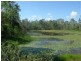 Baffle Creek QLD 4674