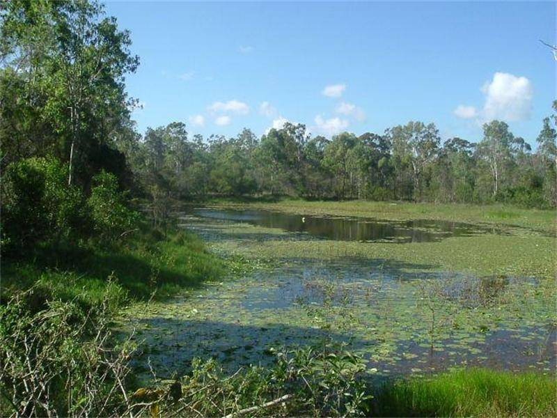 Baffle Creek QLD 4674