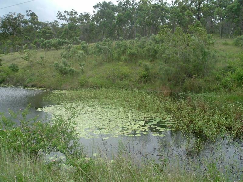 Euleilah QLD 4674