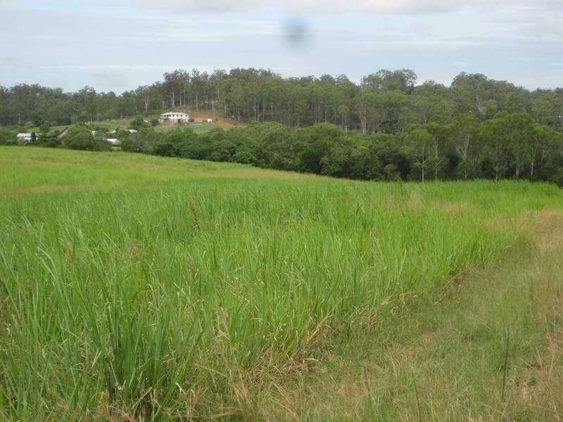 South Bingera QLD 4670