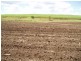 Wallaville QLD 4671