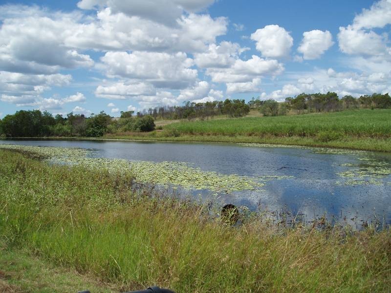 Wallaville QLD 4671