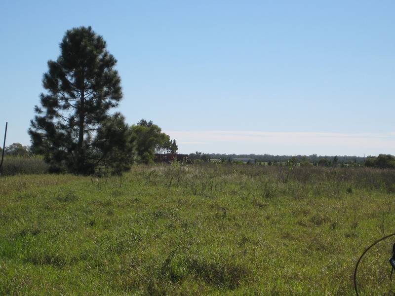 Farnsfield QLD 4660