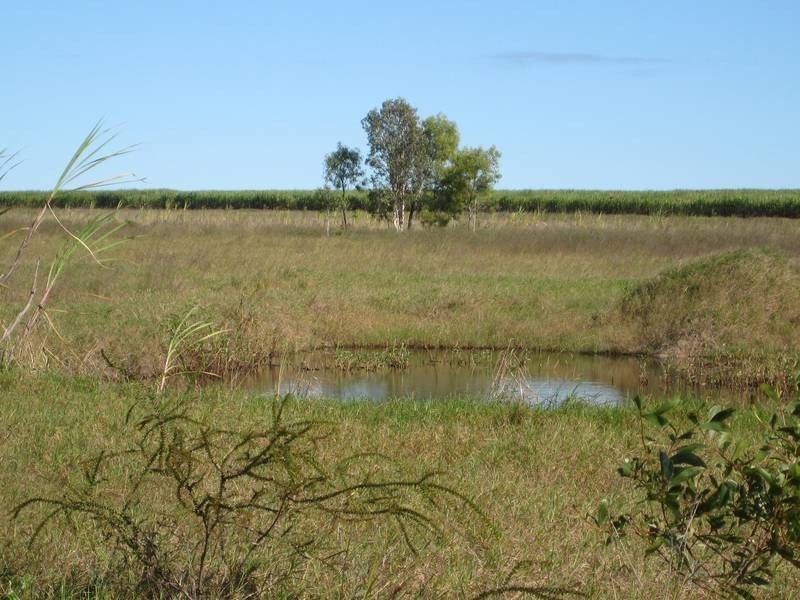 Farnsfield QLD 4660