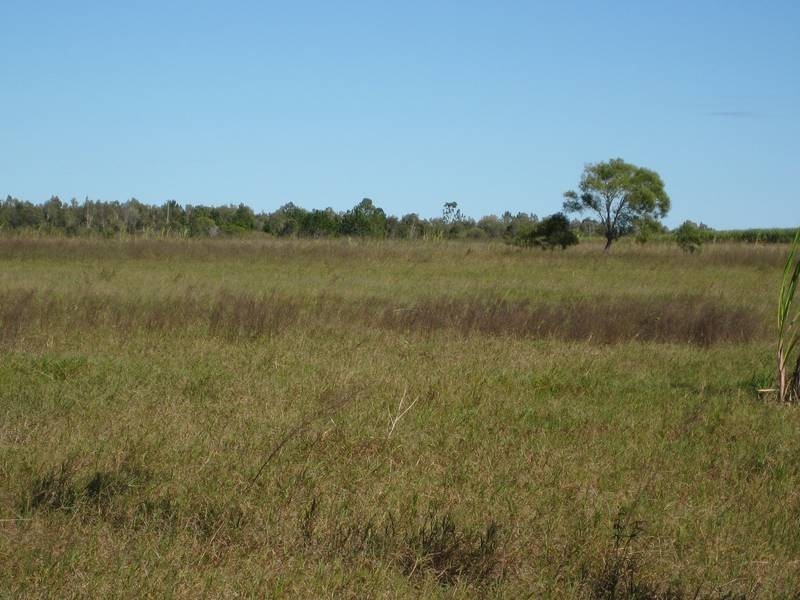Farnsfield QLD 4660