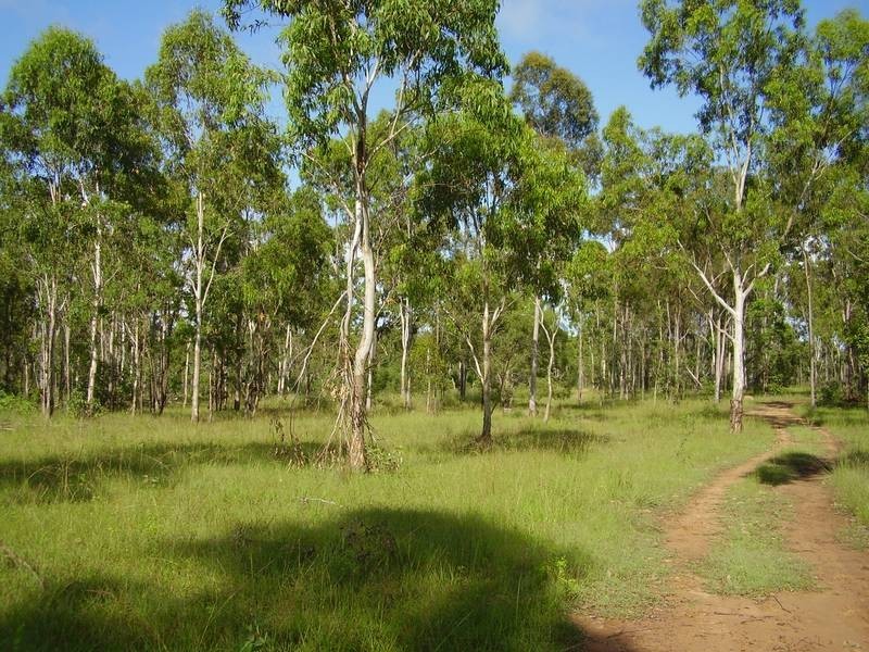 Mount Maria QLD 4674