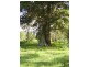 Mount Maria QLD 4674