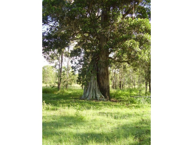 Mount Maria QLD 4674