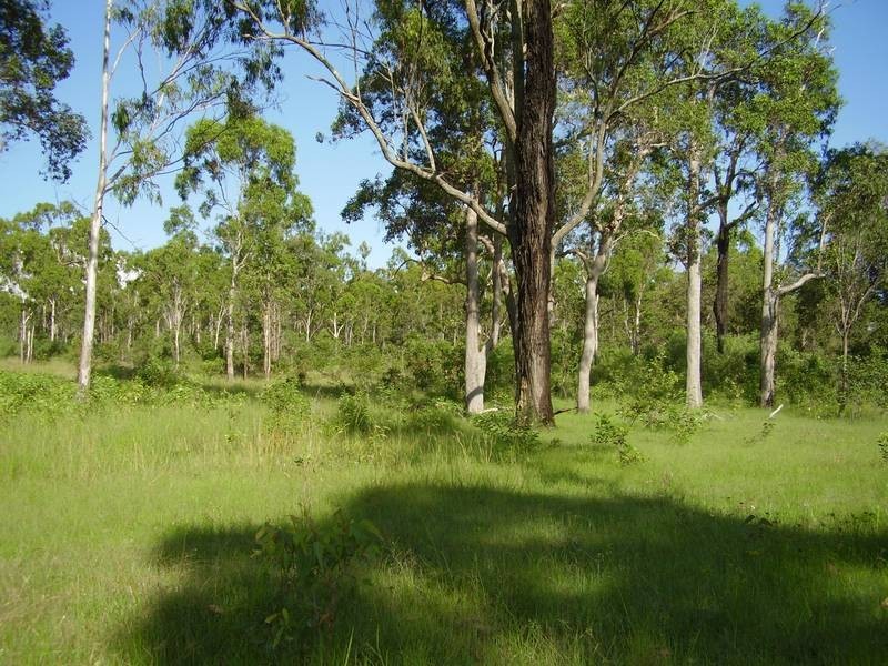 Mount Maria QLD 4674