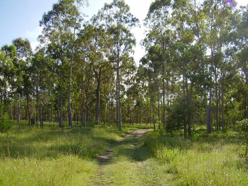 Mount Maria QLD 4674