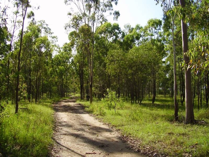 Mount Maria QLD 4674