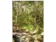 Taunton QLD 4674