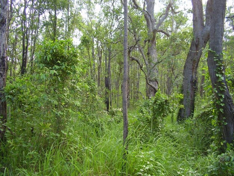 Taunton QLD 4674