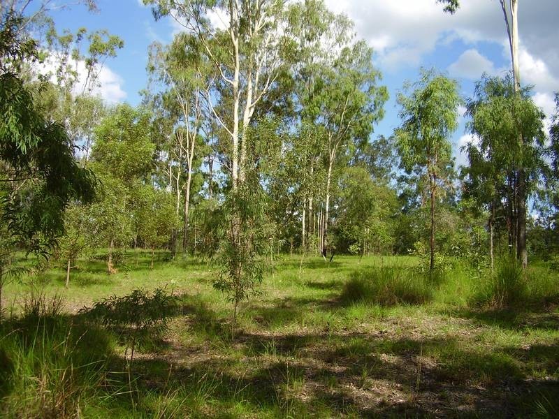 Taunton QLD 4674