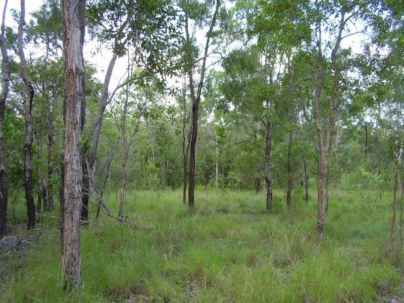 Taunton QLD 4674