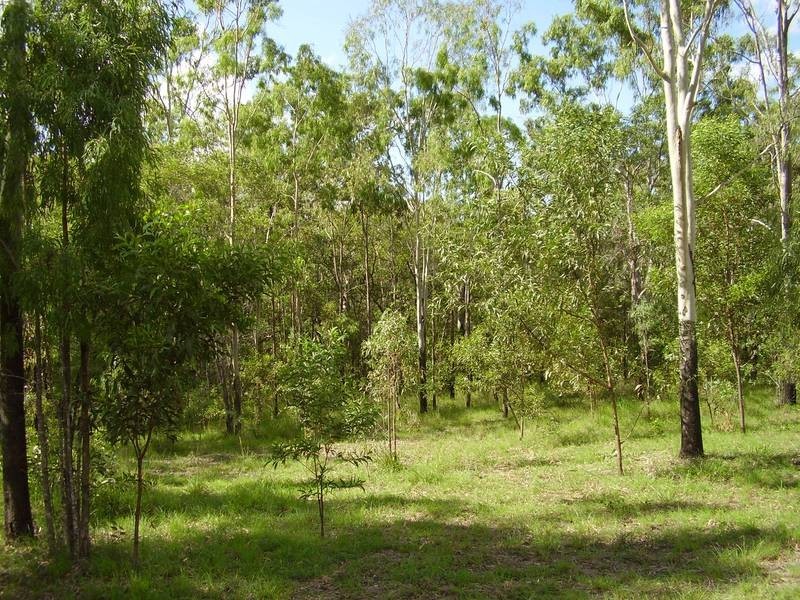 Taunton QLD 4674