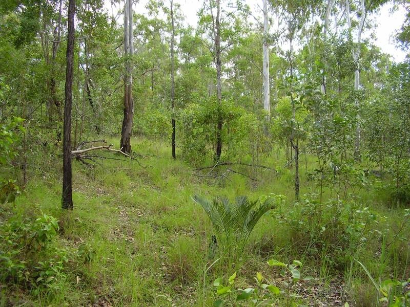 Taunton QLD 4674