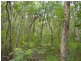 Taunton QLD 4674