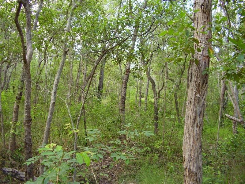 Taunton QLD 4674