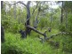 Taunton QLD 4674