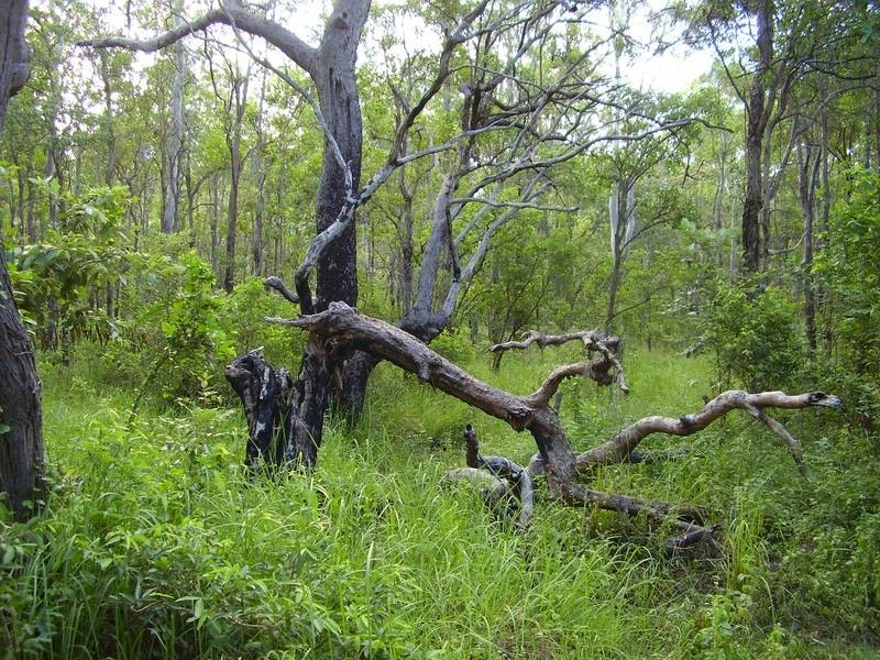Taunton QLD 4674