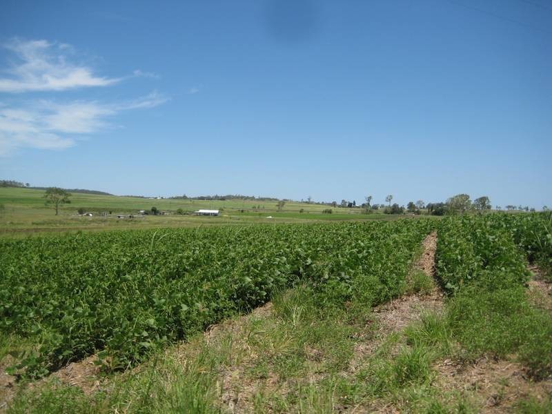 Gin Gin QLD 4671