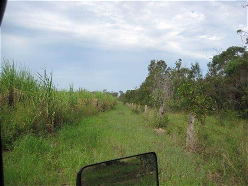 185 Alan Schmidt Road, South Kolan QLD 4670