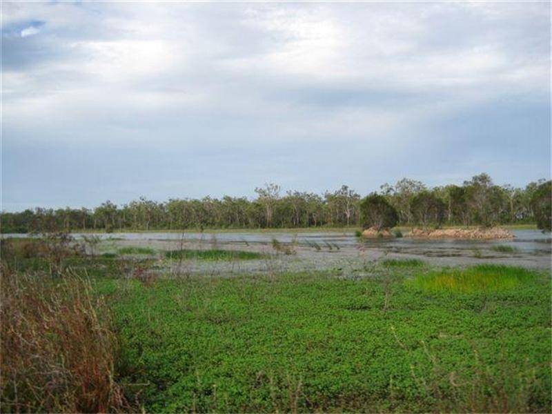 185 Alan Schmidt Road, South Kolan QLD 4670