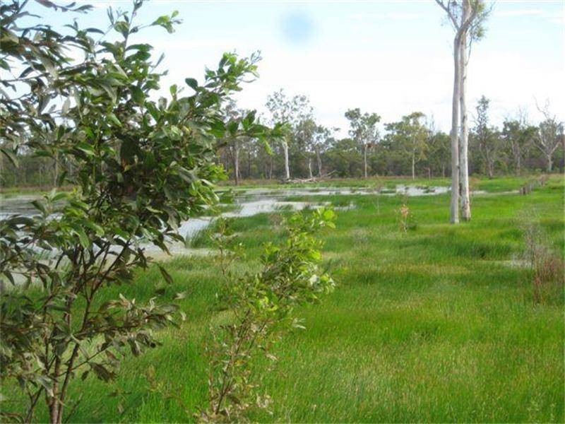185 Alan Schmidt Road, South Kolan QLD 4670