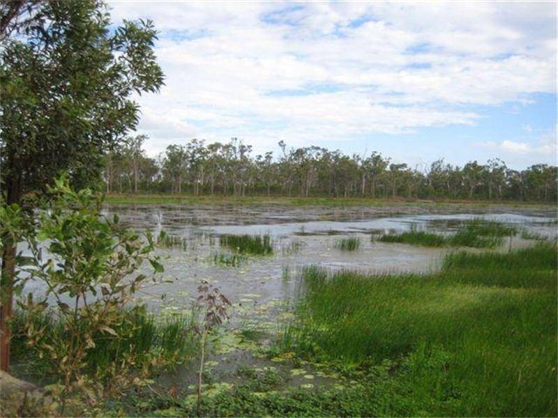 185 Alan Schmidt Road, South Kolan QLD 4670