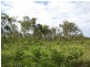 185 Alan Schmidt Road, South Kolan QLD 4670