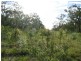 185 Alan Schmidt Road, South Kolan QLD 4670